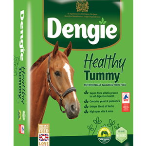 DENGIE HEALTHY TUMMY