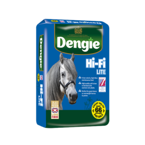 DENGIE HI-FI LITE