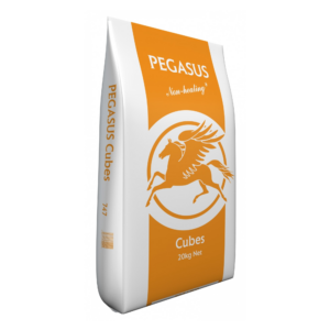 SPILLERS PEGASUS CUBES