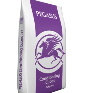 SPILLERS PEGASUS CONDITIONING CUBES