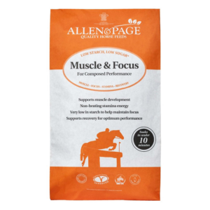 A & P MUSCLE & FOCUS