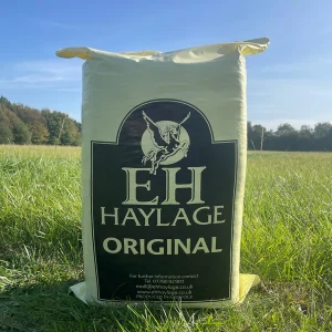 E H HAYLAGE - ORIGINAL