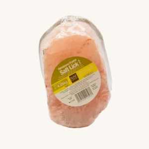 HIMALAYAN SALT LICK - LARGE