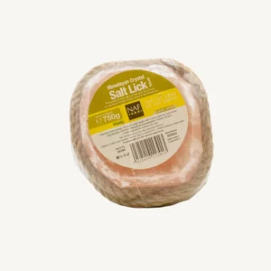 HIMALAYAN SALT LICK - SMALL