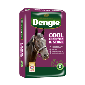Dengie Cool Condition & Shine