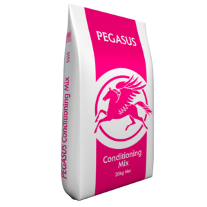 SPILLERS PEGASUS CONDITIONING MIX