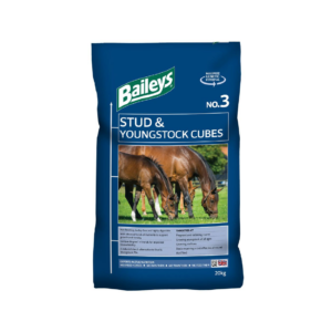 BAILEYS No.3 STUD & YOUNGSTOCK CUBES
