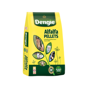 Dengie Alfalfa Pellets